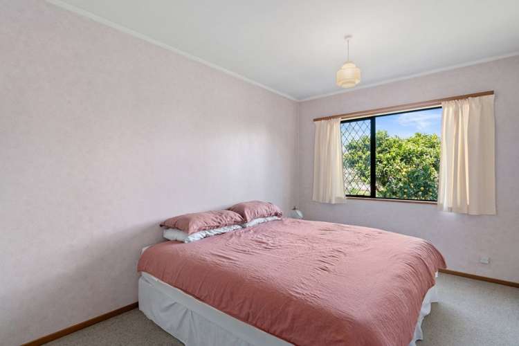 387 Nayland Road Stoke_10