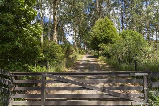 173A Otake Road Kinloch_2