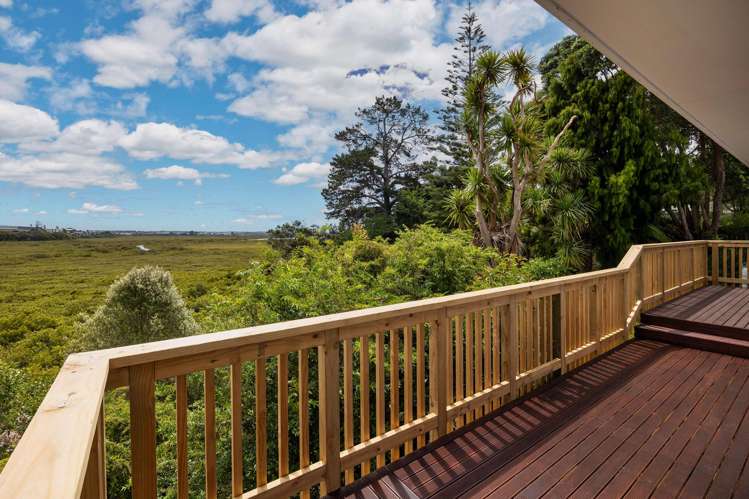 46C Fairlands Avenue Waterview_17