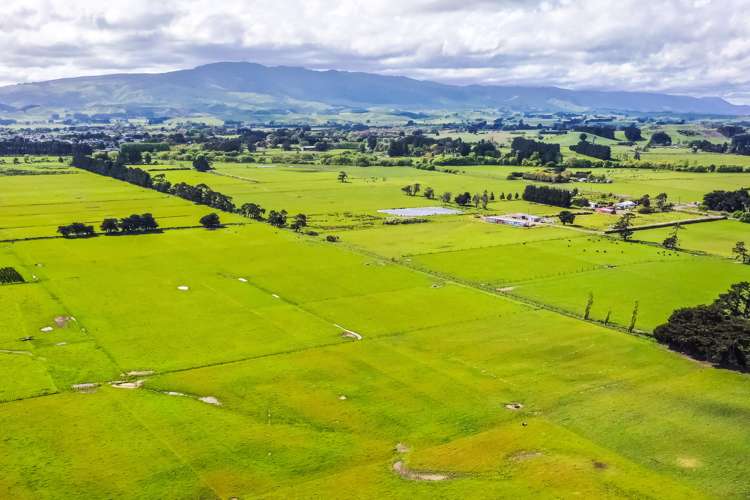 168 Range Road Woodville_15