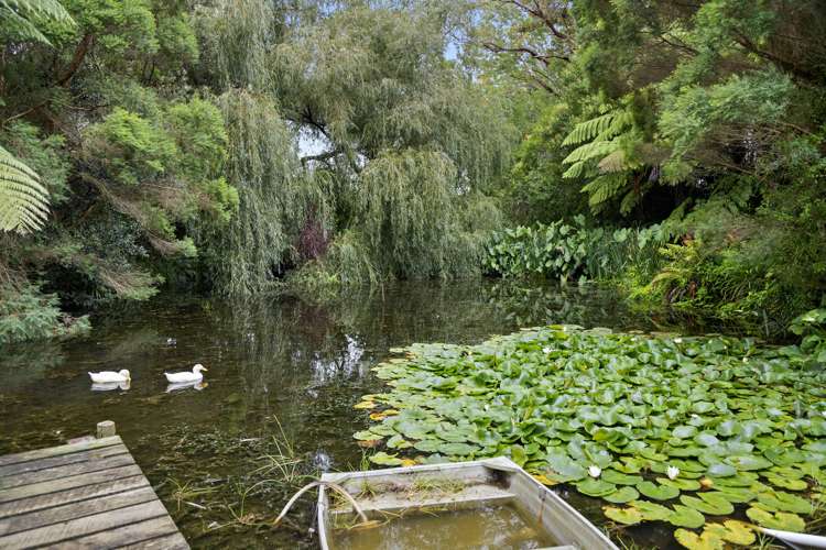 25 Thorn Road Tuakau_19