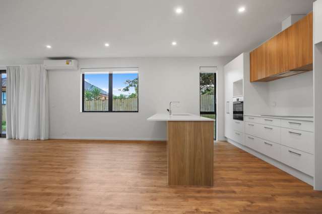 484a West Coast Road Glen Eden_1