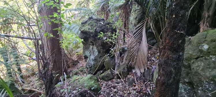 Whangaroa Road Kaeo_17