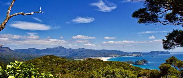 Coastal Views and Pristine Native Bush