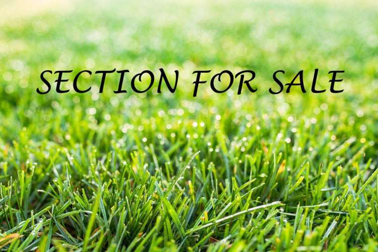 18 Rathfarnham Road Flat Bush_5