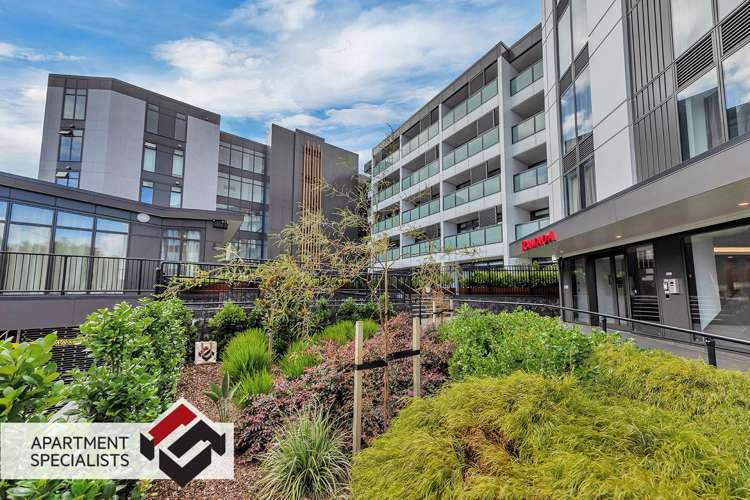 43b Gillies Avenue Newmarket_9