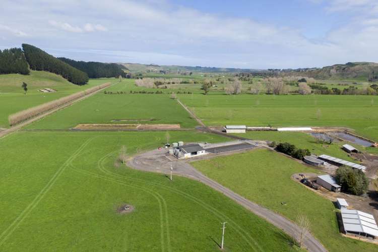 354 Kumuiti Road Fordell_0