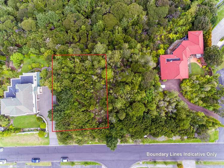 121 Onetaunga Road Chatswood_11