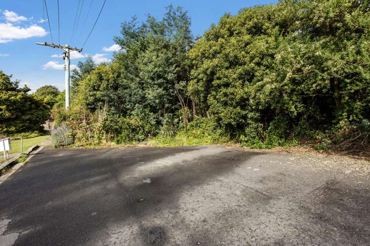 46 Waimea Avenue Calton Hill_24