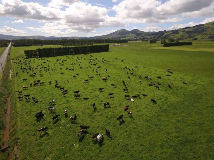 510 Gladstone Road South Allanton_6