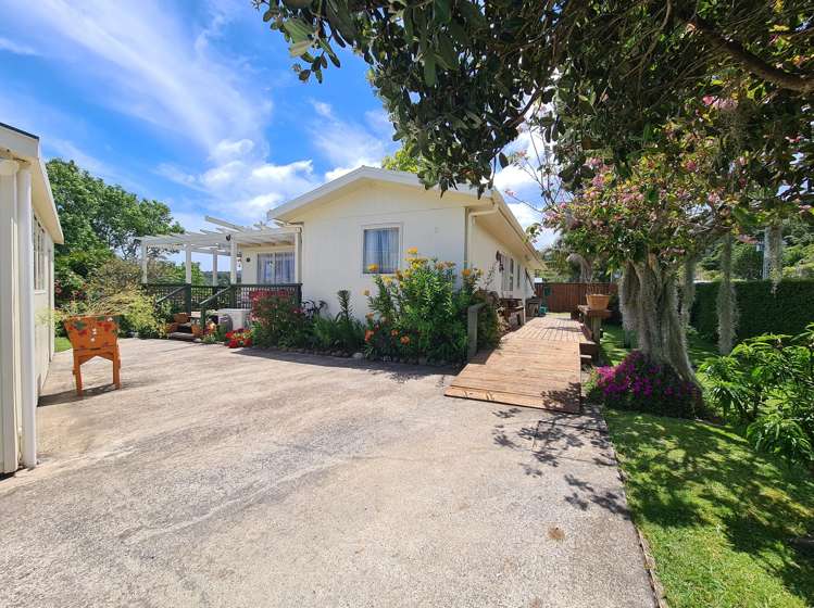 1225 Rings Road Coromandel_10