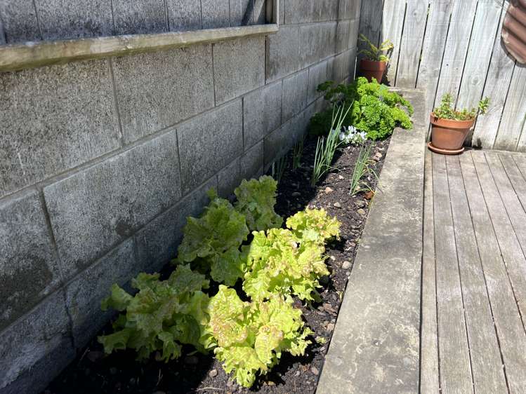 40D William Wong Place Carterton_11