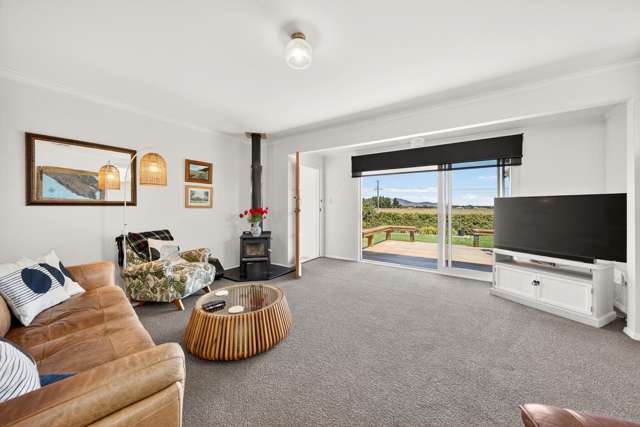 47 Ferry Road Martinborough_4