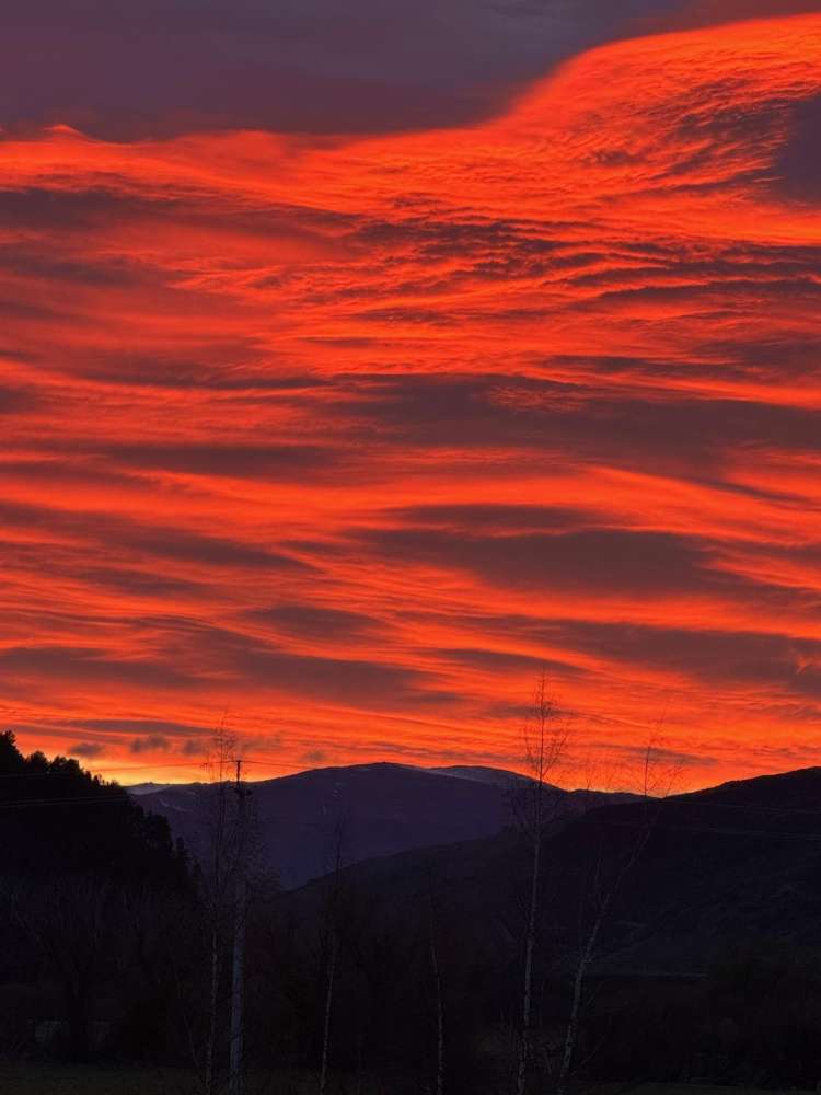 27 Avon Street Athol_20