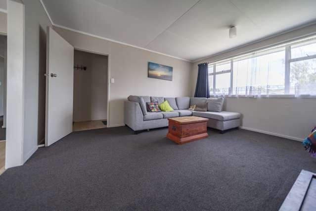 3 Robinson Crescent Tamatea_3