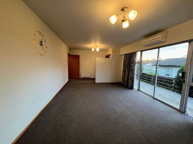 8 Cooper Street Pukekohe_4