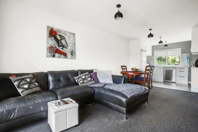 17C Domain Road Panmure_2