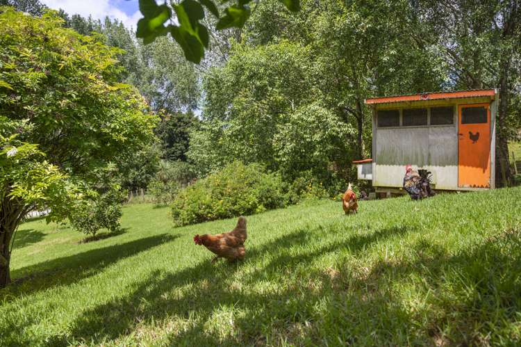 1217 Whangaripo Valley Road Whangaripo_32