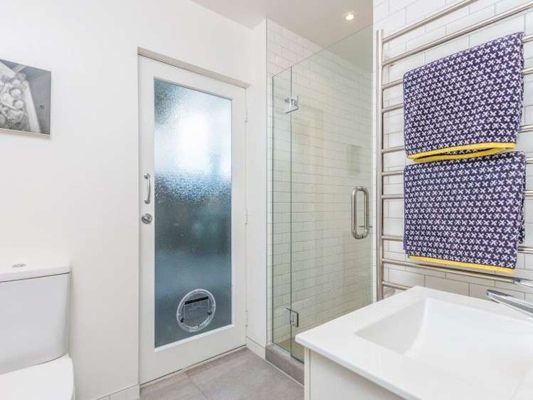 20a Raymond Street Point Chevalier_20