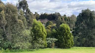 3 Highland Way_4