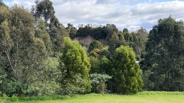 3 Highland Way Kerikeri_4
