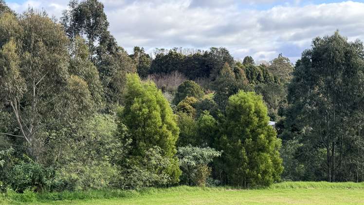 3 Highland Way Kerikeri_4