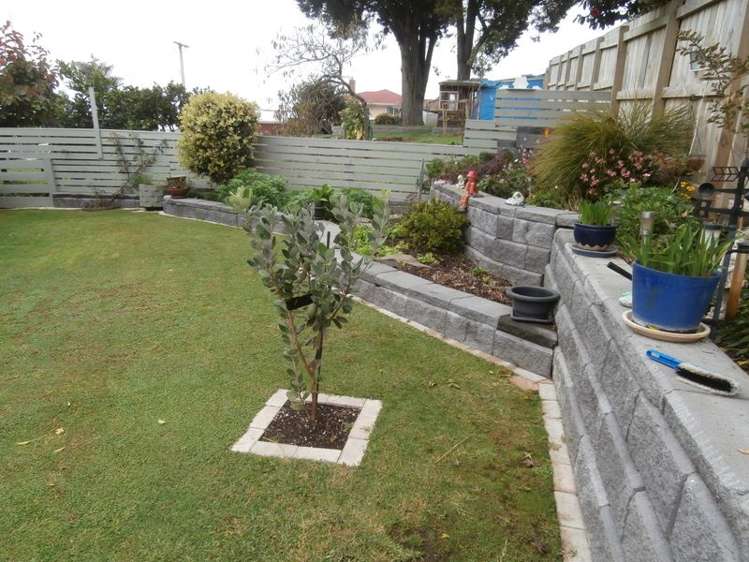 428b Thames Street Morrinsville_15