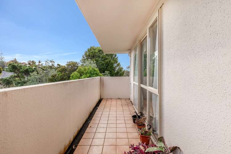 411a Hillsborough Road Hillsborough_12