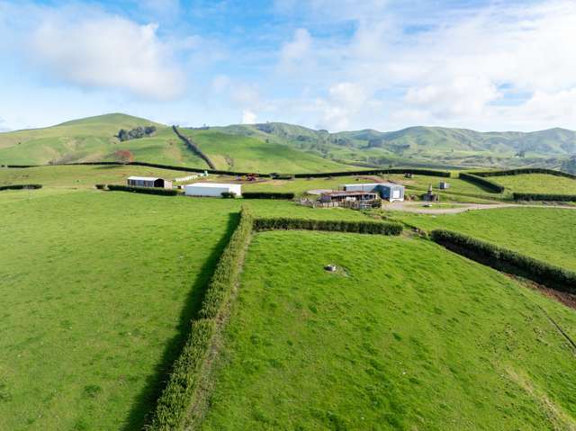 376 Starkey Road Morrinsville_3