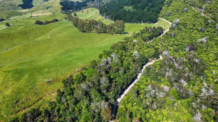 109 McIvor Road Rotoma_19