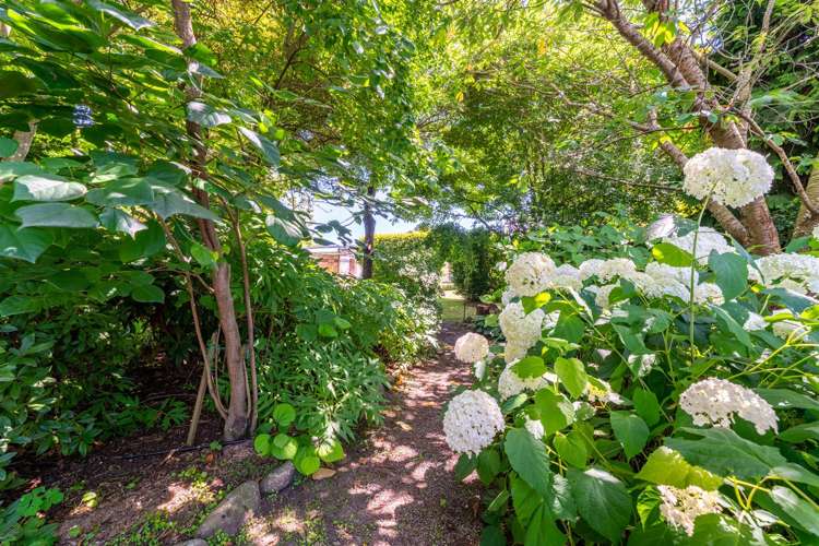 4 George Street Geraldine_17