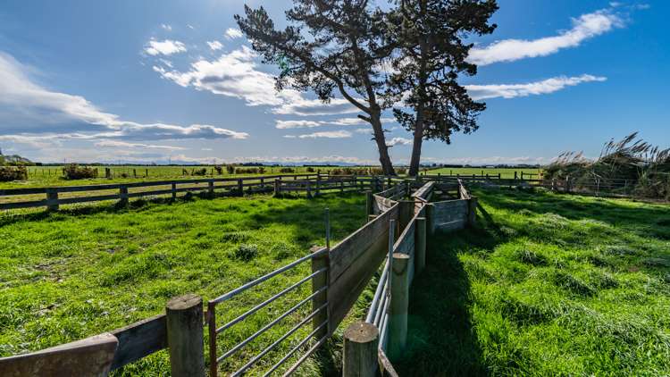 Selwyn Lake Road Leeston_31