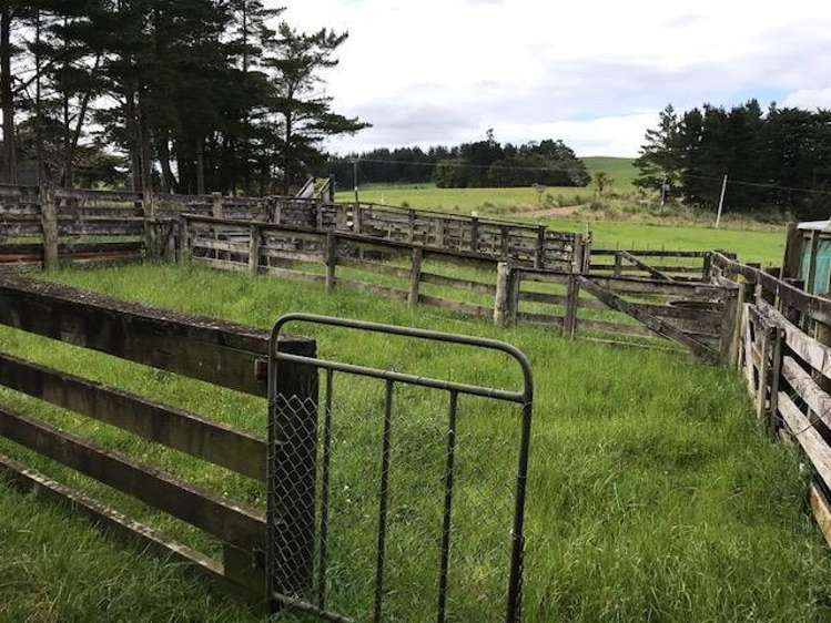 Ovens Road Matakohe_23