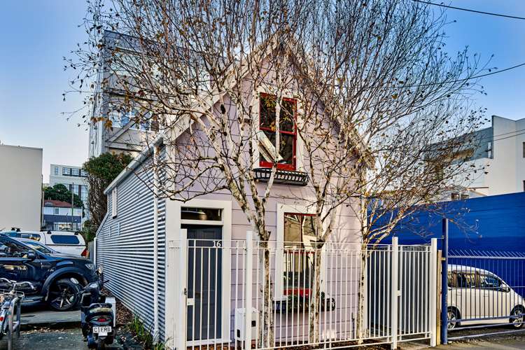 16 Walter Street Te Aro_10