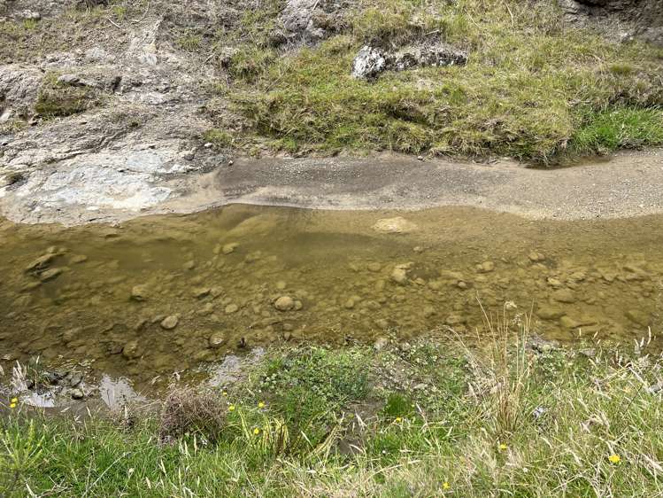 310 Branscombe Road Akitio_4