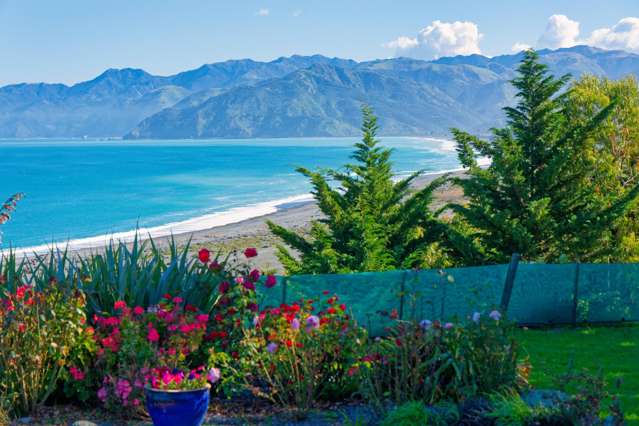 40 State Highway 1 Kaikoura Surrounds_1