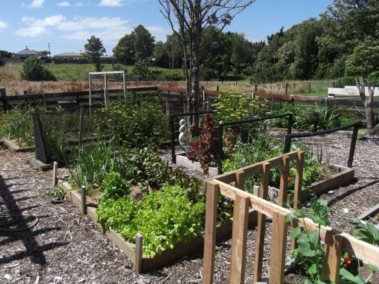 4 Olivia Street Stratford_17