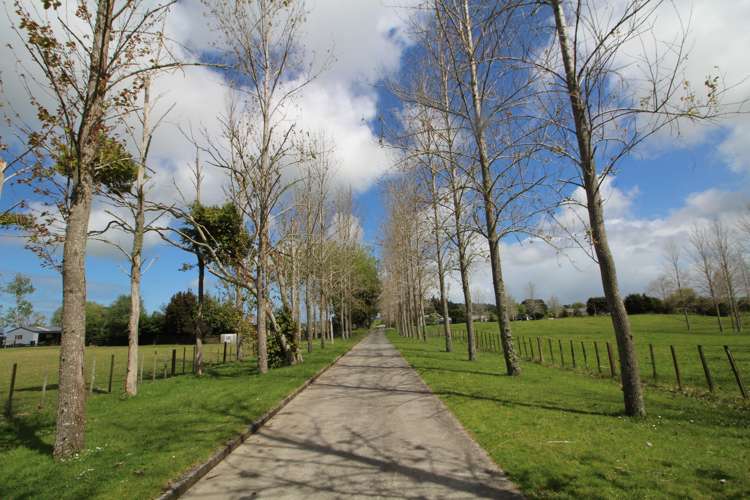 133 Colville Road Dargaville_19