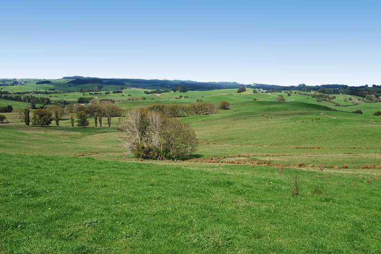 Kaiwaka-Mangawhai Road Kaiwaka_10