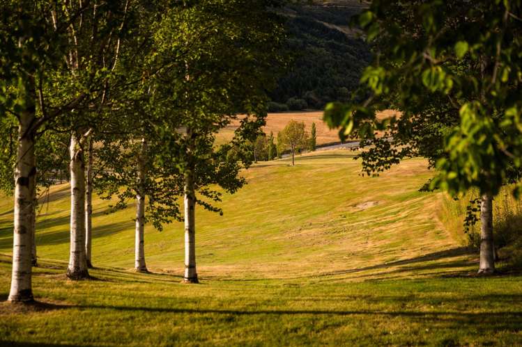 44 and 80 Toka Road Dalefield/Wakatipu Basin_17