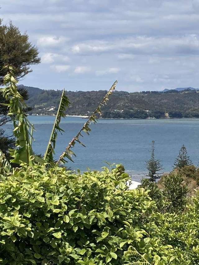 5 Punga Place Whitianga_1