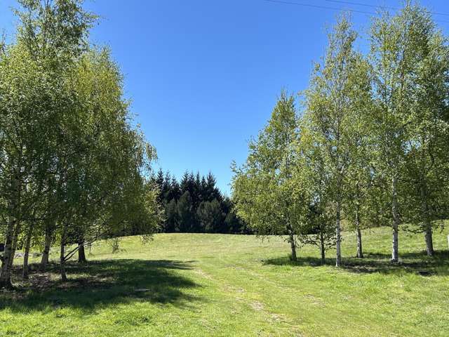 39 Fitzpatrick Road Dalefield/Wakatipu Basin_1