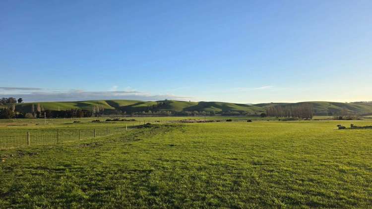 Totara View Estate, Awamangu Road Pukeawa_8