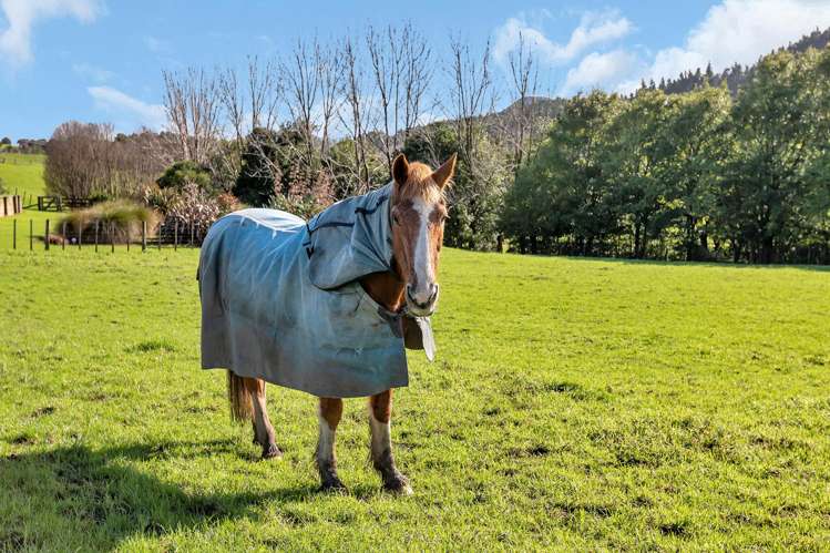 1524 Kirikopuni Valley Road Whangarei_23