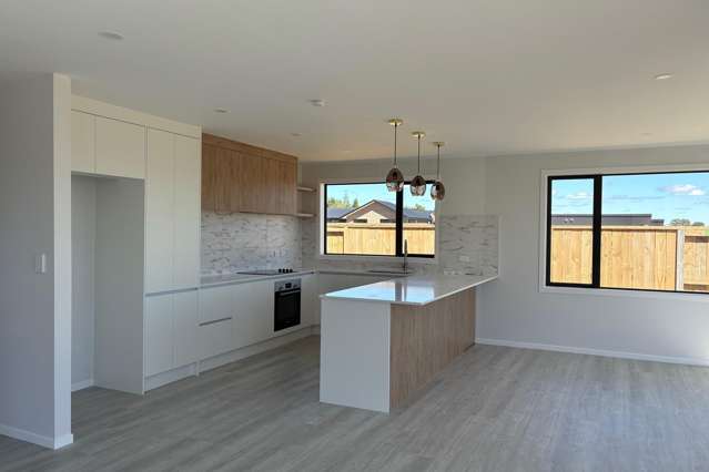 55 Manaia Road Te Awamutu_2