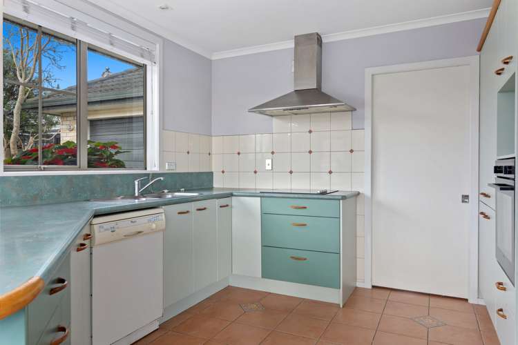 12a Bridge Street Opotiki and Surrounds_1