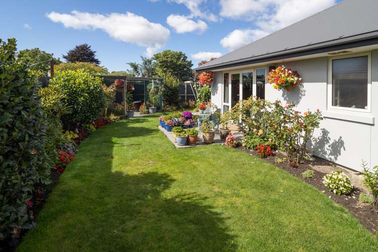 8 Maynard Place Netherby_15