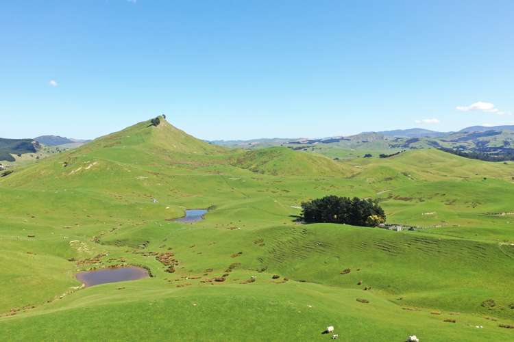 275 Akaroa Road Pongaroa_7