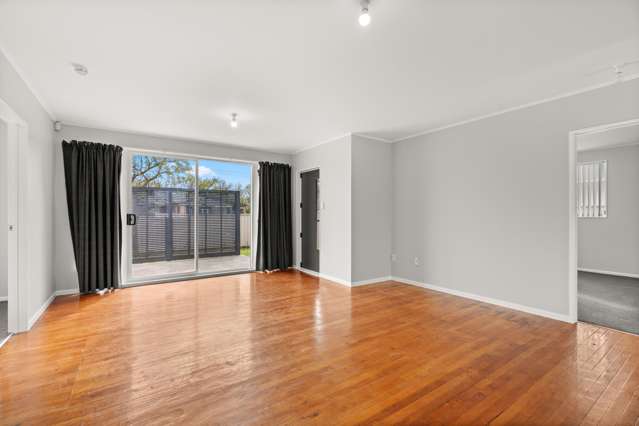 119 Oxford Street Masterton_3