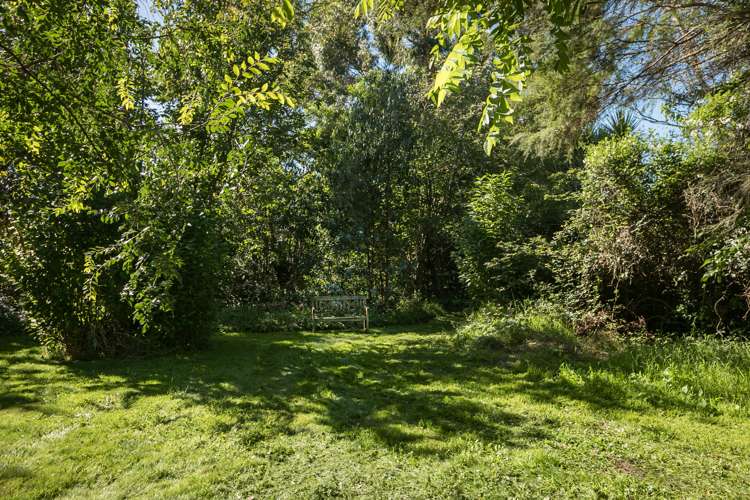 32 Charles Street Westshore_1